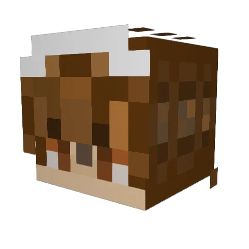 Piecrust11 Minecraft avatar head, 3D render
