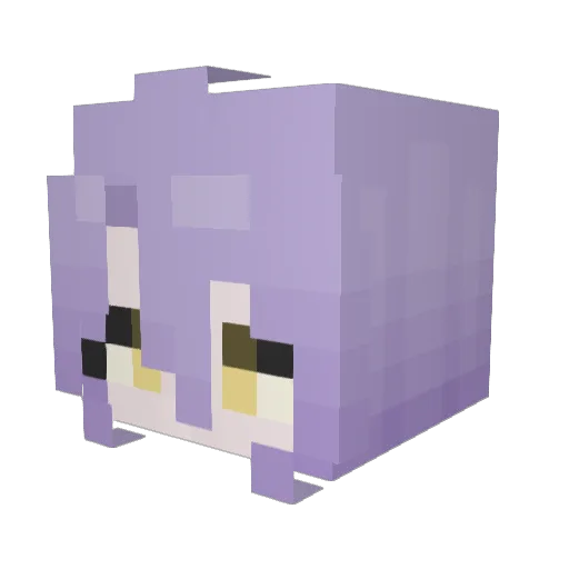 Pieeroo Minecraft avatar head, 3D render