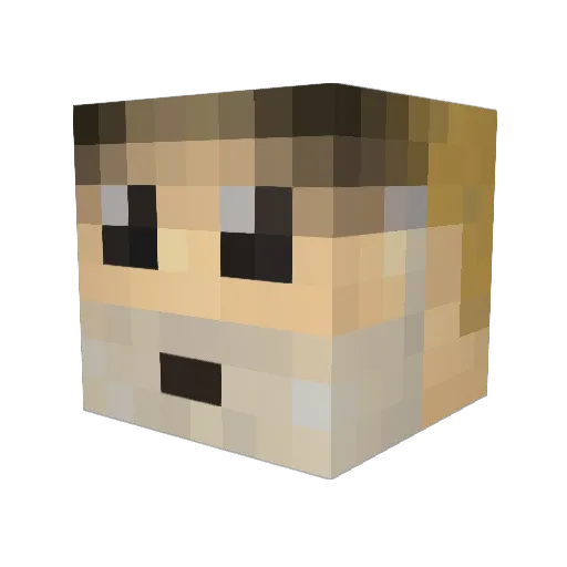 Piegod17 Minecraft avatar head, 3D render