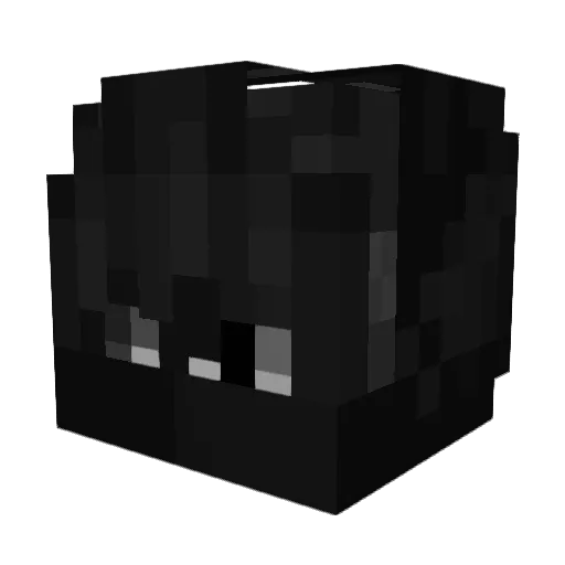 Piekarz_master Minecraft avatar head, 3D render