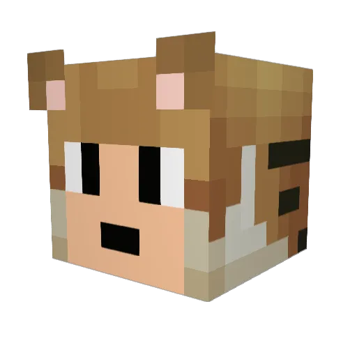 Piemad007 Minecraft avatar head, 3D render