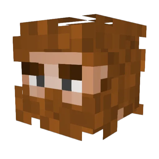 Piemeister Minecraft avatar head, 3D render