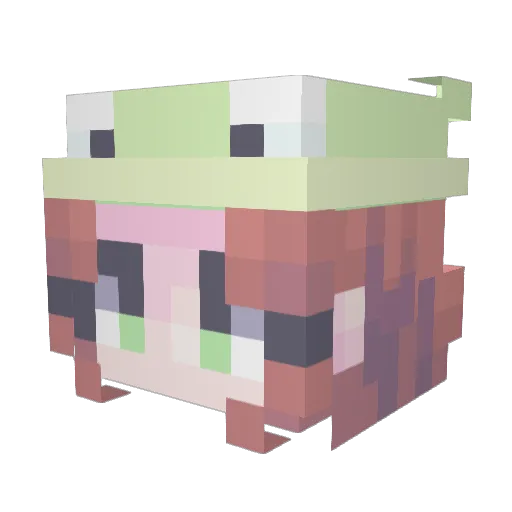 Pieniner Minecraft avatar head, 3D render