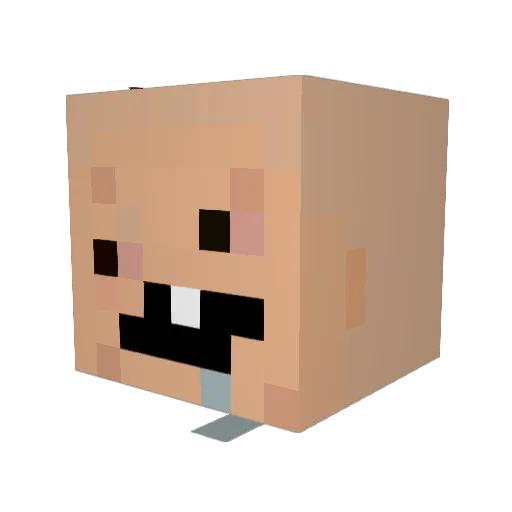 Piepser Minecraft avatar head, 3D render