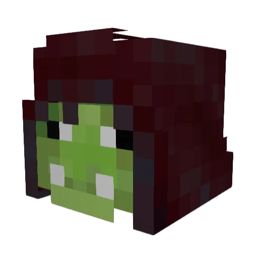 Pieraqua Minecraft avatar head, 3D render