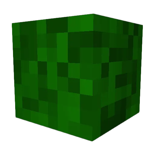 Pierceisthebest Minecraft avatar head, 3D render