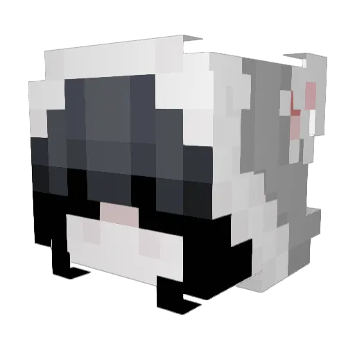 PierniczekX Minecraft avatar head, 3D render