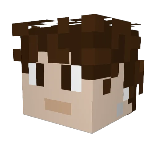 Pierr0tzemoon_ Minecraft avatar head, 3D render
