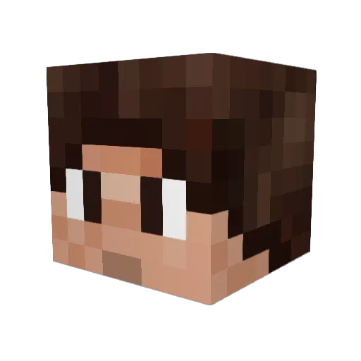 Pierre260 Minecraft avatar head, 3D render