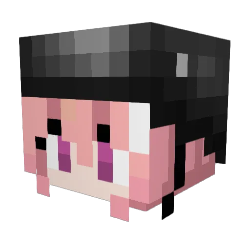 PierreDoon43 Minecraft avatar head, 3D render
