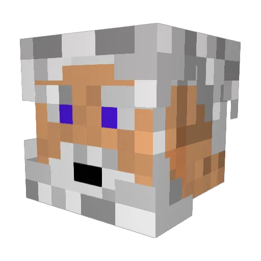 Pierreman6 Minecraft avatar head, 3D render