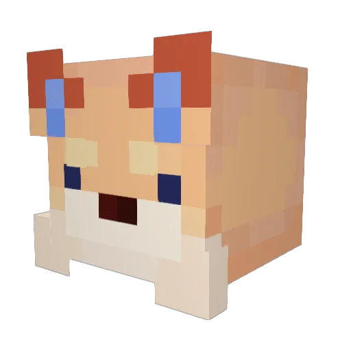 Pierrinator25 Minecraft avatar head, 3D render