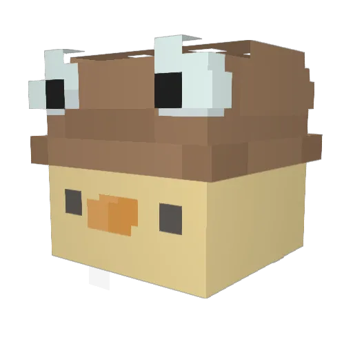 PieryEnsa Minecraft avatar head, 3D render