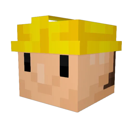 Pierzchal258 Minecraft avatar head, 3D render