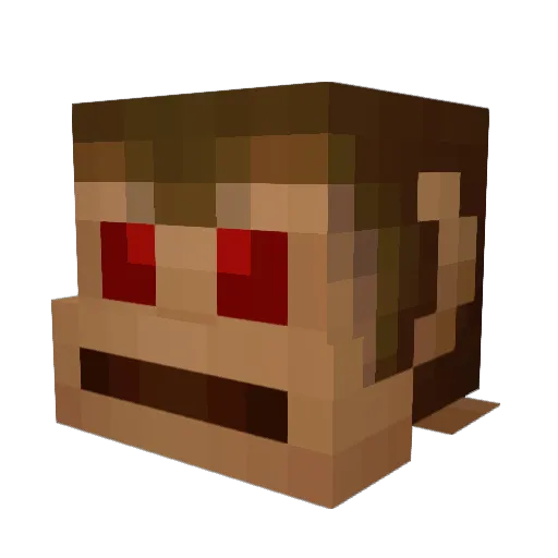 Pieslayer Minecraft avatar head, 3D render