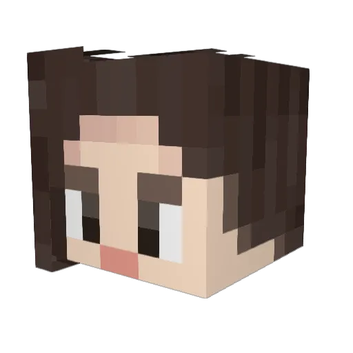 Piesofthesky Minecraft avatar head, 3D render