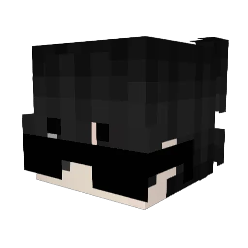 Piet0802 Minecraft avatar head, 3D render