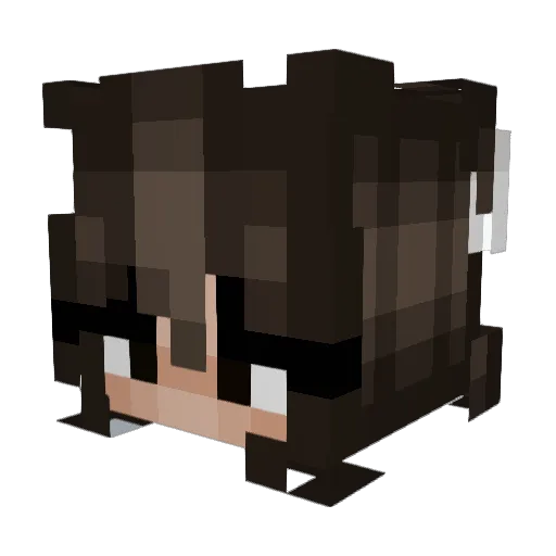 Piet0o Minecraft avatar head, 3D render