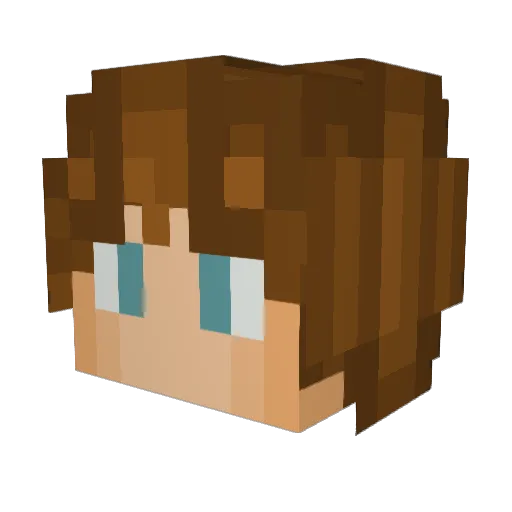 Pieter05 Minecraft avatar head, 3D render