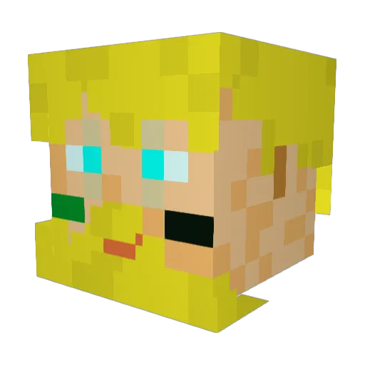 PieterForever Minecraft avatar head, 3D render