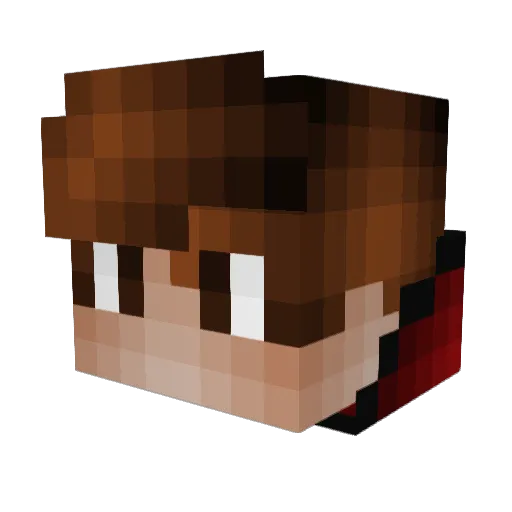 Pieterpro40 Minecraft avatar head, 3D render