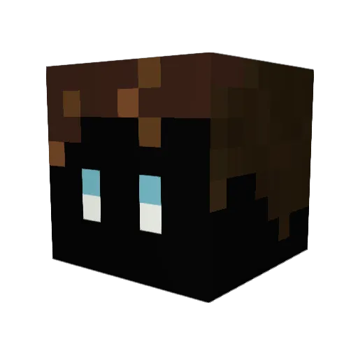 Pietro123456 Minecraft avatar head, 3D render