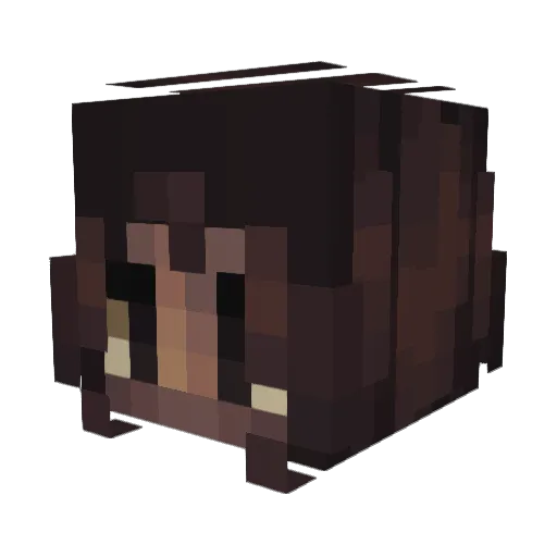 Pietro_Z_Cat Minecraft avatar head, 3D render