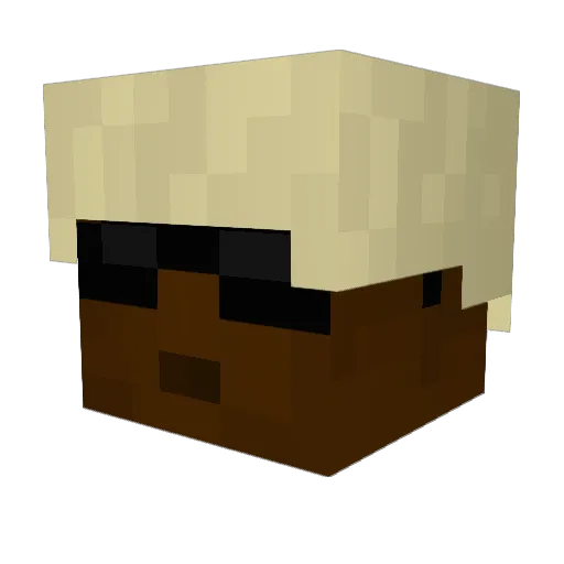Pietroxx Minecraft avatar head, 3D render