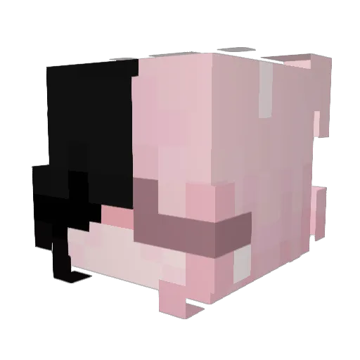 PietsmietFan98 Minecraft avatar head, 3D render