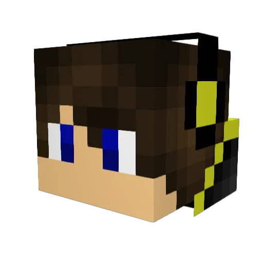 Piett1991 Minecraft avatar head, 3D render