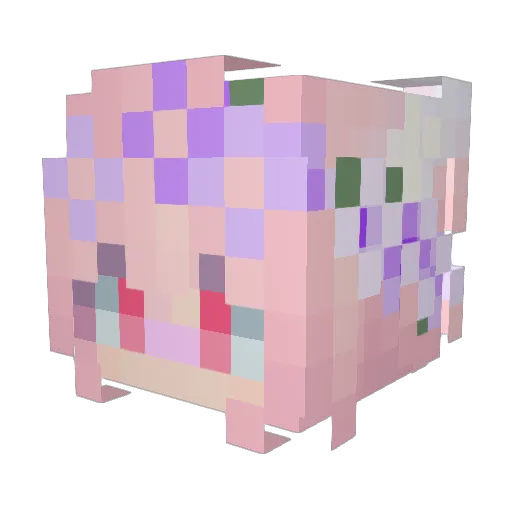 Piez0 Minecraft avatar head, 3D render