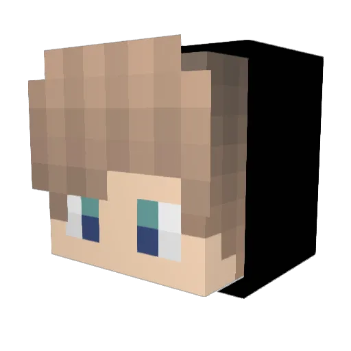 Pifameti Minecraft avatar head, 3D render