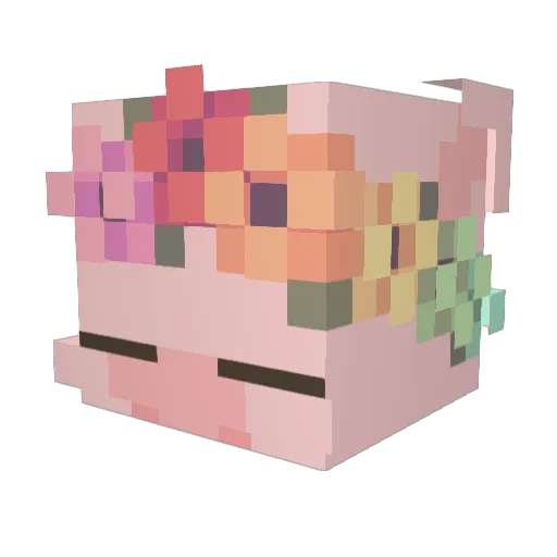 Pig1225 Minecraft avatar head, 3D render