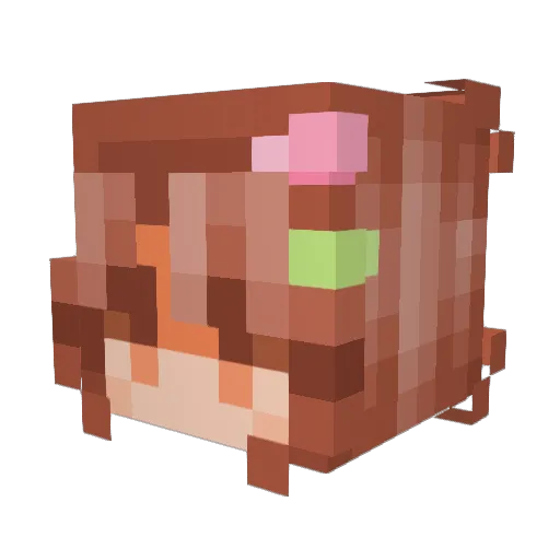 PigBenes Minecraft avatar head, 3D render