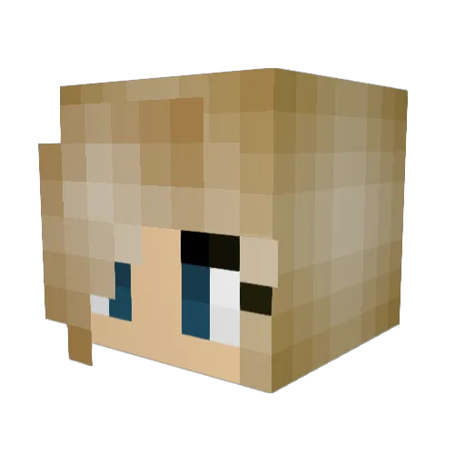 PigCommander98 Minecraft avatar head, 3D render