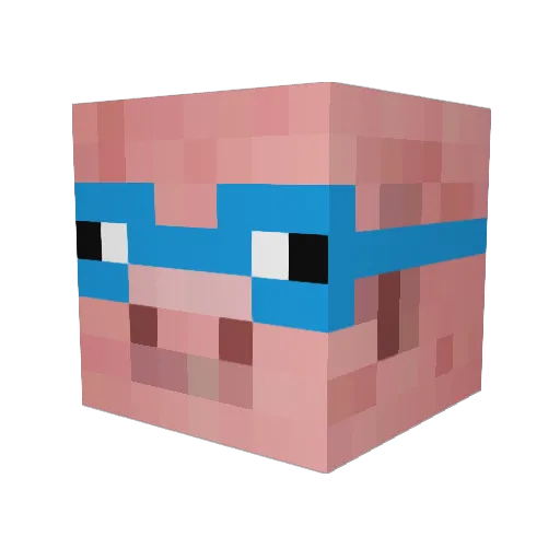 PigHero2004 Minecraft avatar head, 3D render