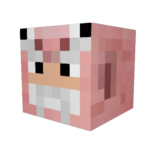 PigHiker Minecraft avatar head, 3D render