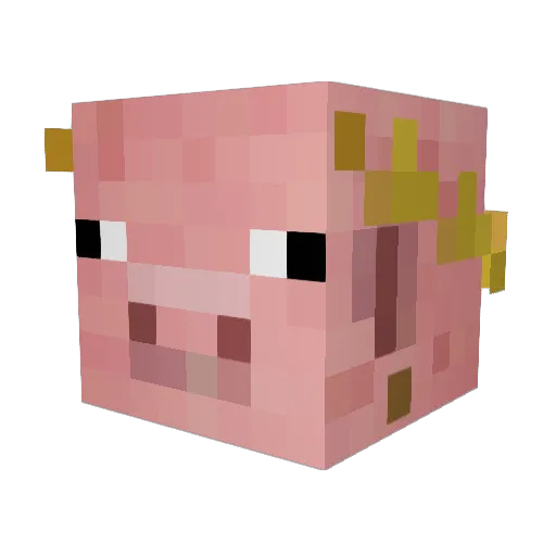 PigMan64REAL Minecraft avatar head, 3D render