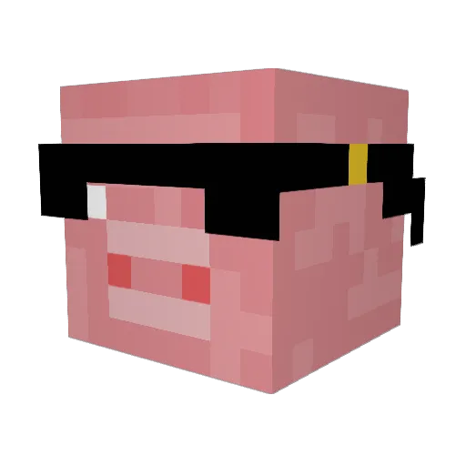 PigMasterXX Minecraft avatar head, 3D render