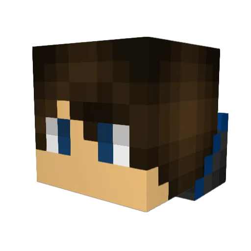 PigMaster_123 Minecraft avatar head, 3D render