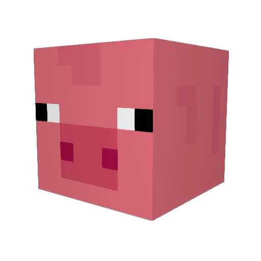 PigMatt Minecraft avatar head, 3D render