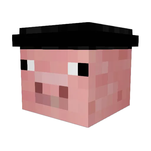 PigOfDestiny Minecraft avatar head, 3D render