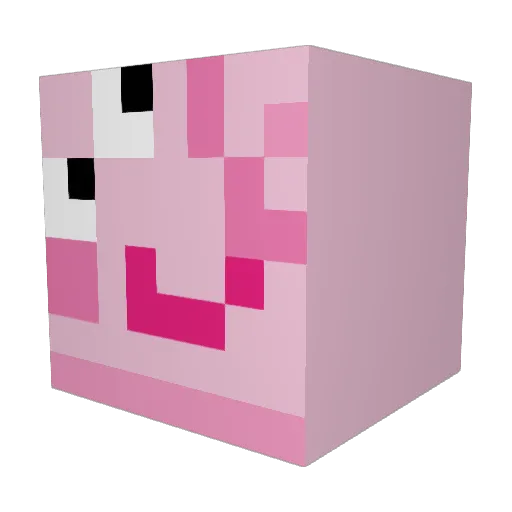 PigPadlle007 Minecraft avatar head, 3D render