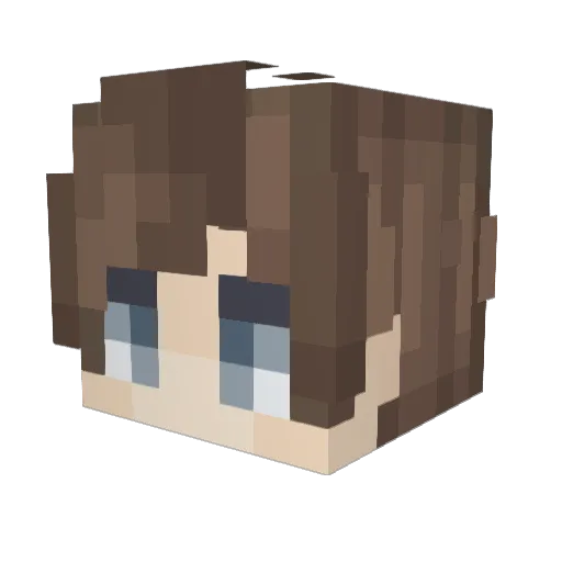 PigSlayer12389 Minecraft avatar head, 3D render