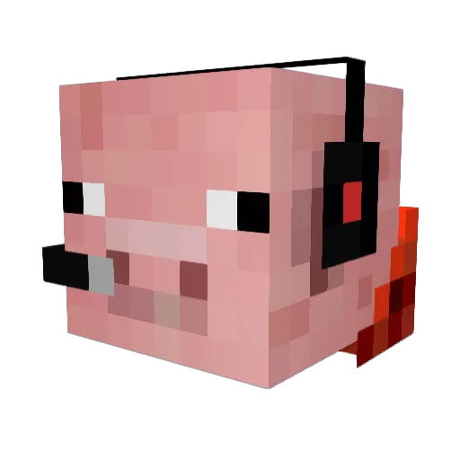 Pig_Gamer087 Minecraft avatar head, 3D render