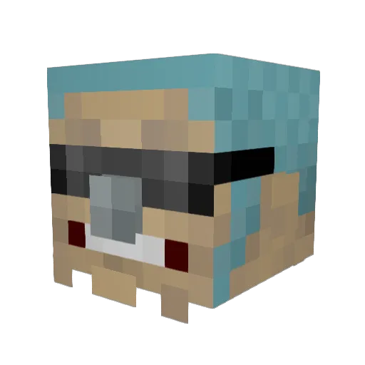Pig_Him Minecraft avatar head, 3D render