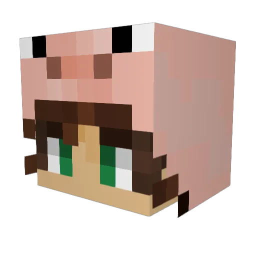 Pigalicious5 Minecraft avatar head, 3D render