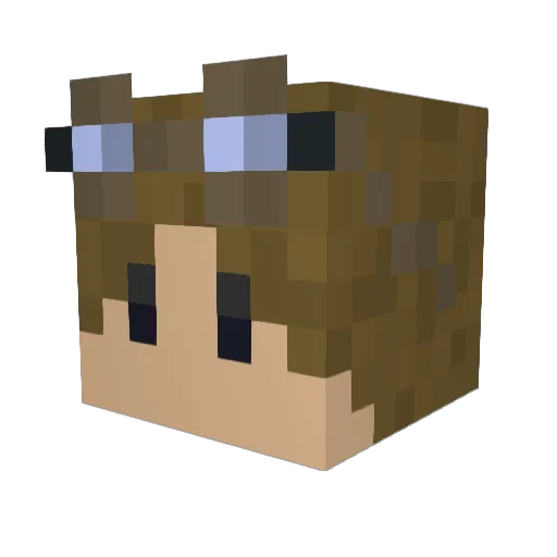 Pigbink19 Minecraft avatar head, 3D render