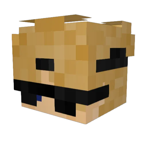 Pigdude10 Minecraft avatar head, 3D render