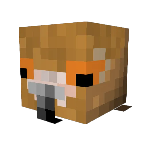 Pigeo_K Minecraft avatar head, 3D render